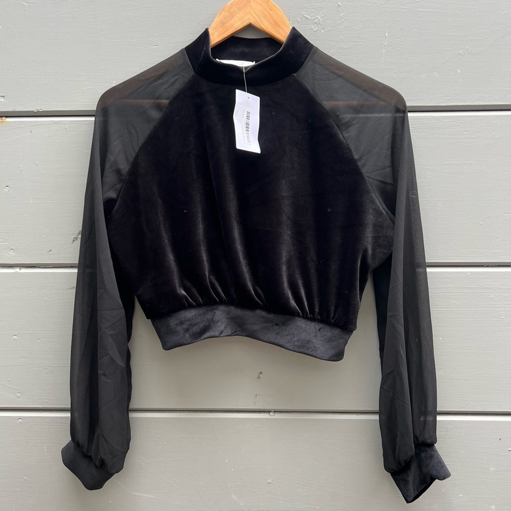 OAK + FORT Velvet Sheer Turtleneck Top
